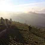 Samaritana - Casa Da Vinha *