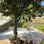 Samaritana - Casa Da Vinha Holiday home Vila Marim