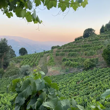 Samaritana - Casa Da Vinha Сasa de vacaciones *