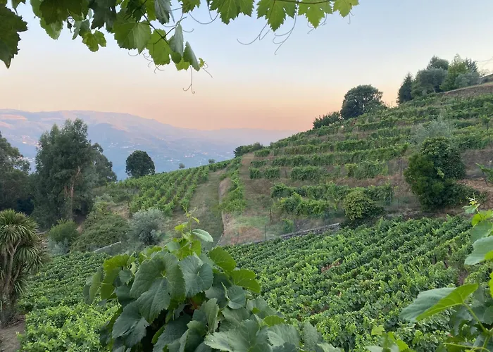 Samaritana - Casa Da Vinha Prázdninový dům *