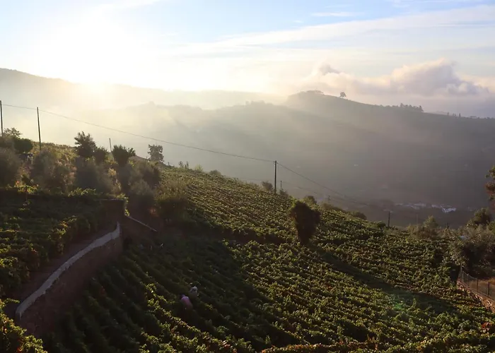 Samaritana - Casa Da Vinha *